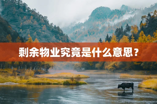 剩余物业究竟是什么意思？