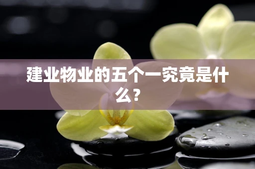 建业物业的五个一究竟是什么？