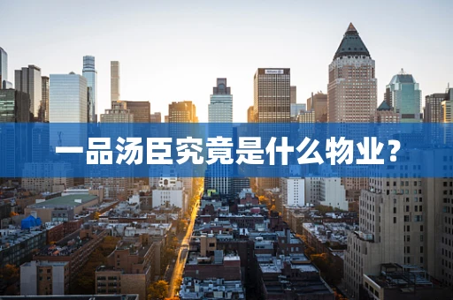 一品汤臣究竟是什么物业？