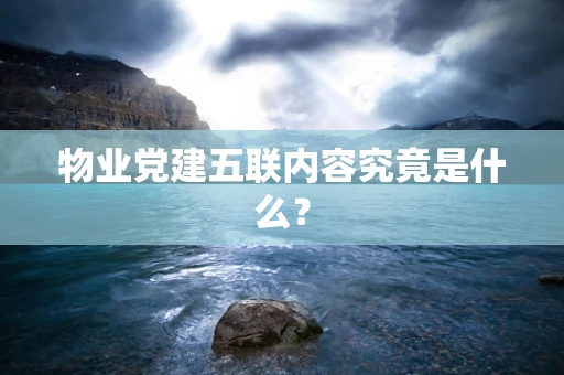 物业党建五联内容究竟是什么？