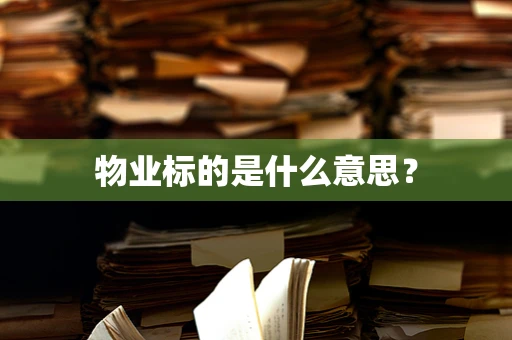 物业标的是什么意思？