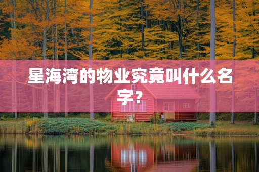 星海湾的物业究竟叫什么名字？