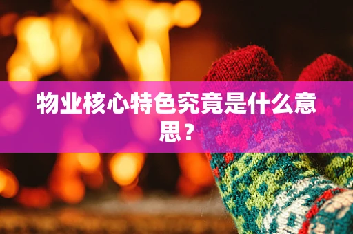 物业核心特色究竟是什么意思？