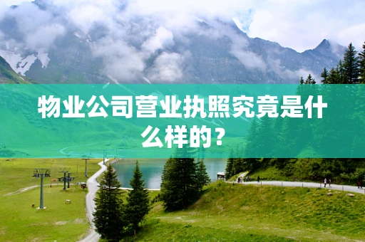 物业公司营业执照究竟是什么样的？