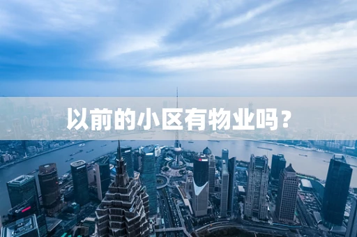 以前的小区有物业吗？
