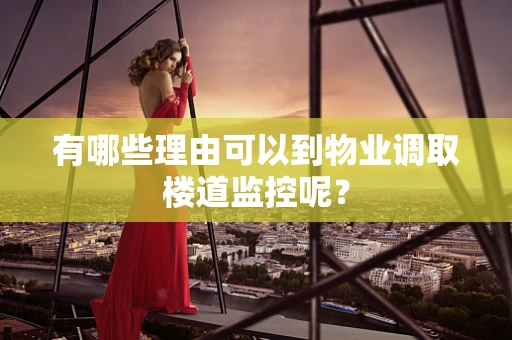 有哪些理由可以到物业调取楼道监控呢？