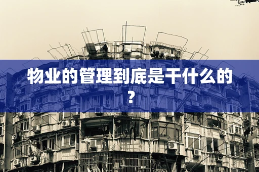 物业的管理到底是干什么的？