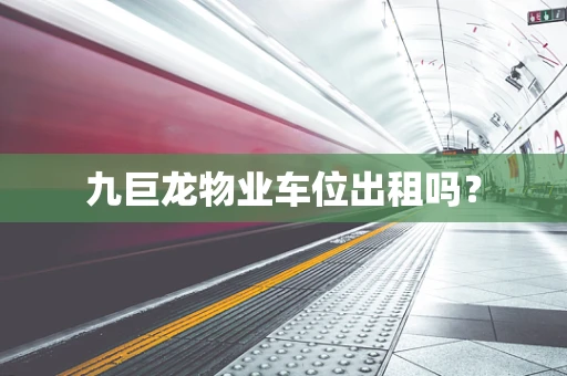 九巨龙物业车位出租吗？