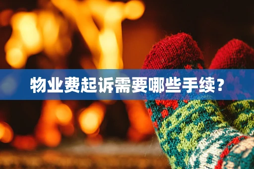 物业费起诉需要哪些手续？