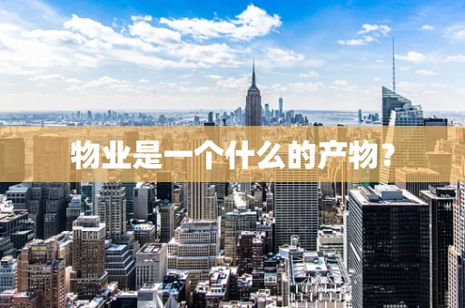 物业是一个什么的产物？