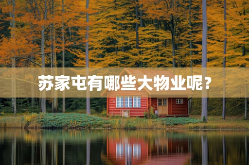 苏家屯有哪些大物业呢？