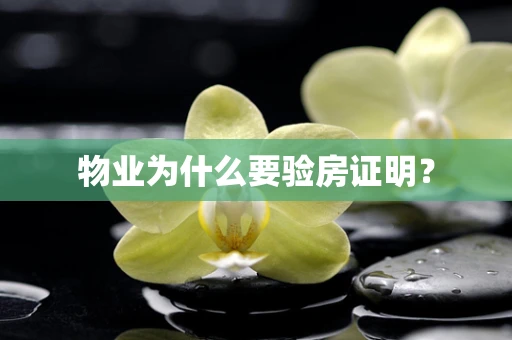 物业为什么要验房证明？
