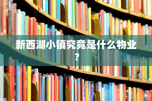 新西湖小镇究竟是什么物业？