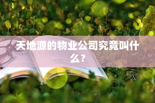 天地源的物业公司究竟叫什么？