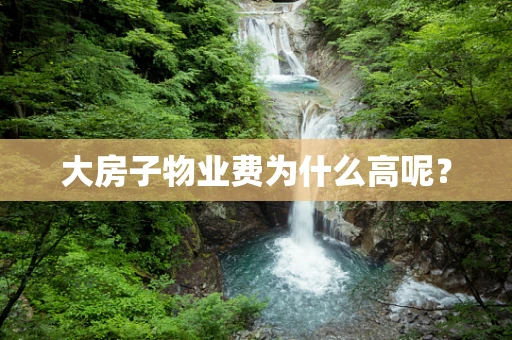 大房子物业费为什么高呢？