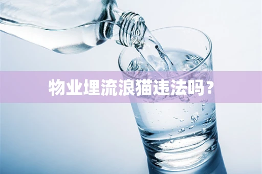 物业埋流浪猫违法吗？