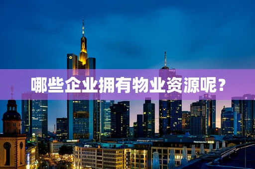 哪些企业拥有物业资源呢？