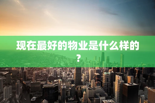现在最好的物业是什么样的？