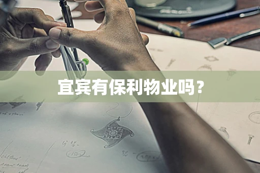 宜宾有保利物业吗？