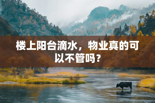 楼上阳台滴水，物业真的可以不管吗？