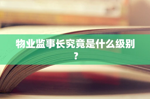 物业监事长究竟是什么级别？