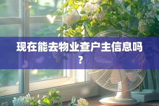现在能去物业查户主信息吗？