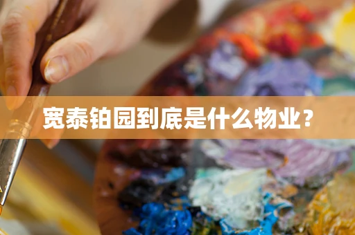 宽泰铂园到底是什么物业？