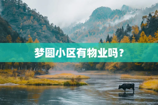 梦圆小区有物业吗？
