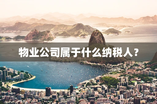 物业公司属于什么纳税人？