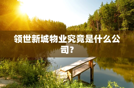 领世新城物业究竟是什么公司？