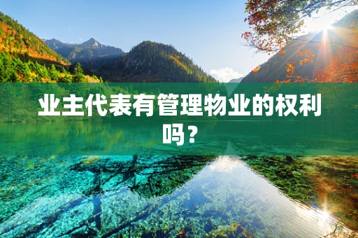 业主代表有管理物业的权利吗？