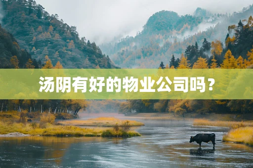 汤阴有好的物业公司吗？