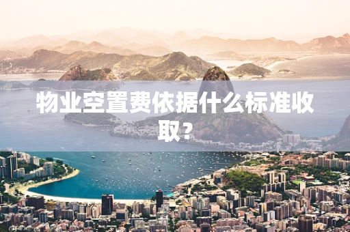 物业空置费依据什么标准收取？