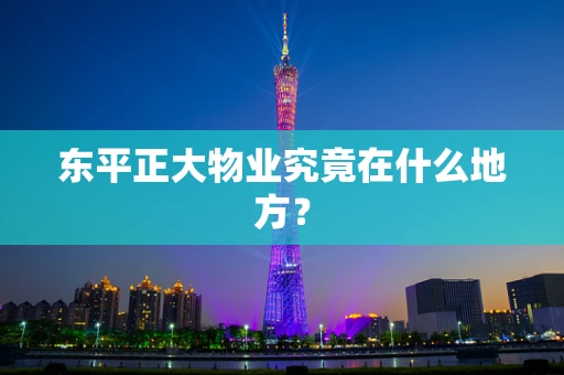 东平正大物业究竟在什么地方？