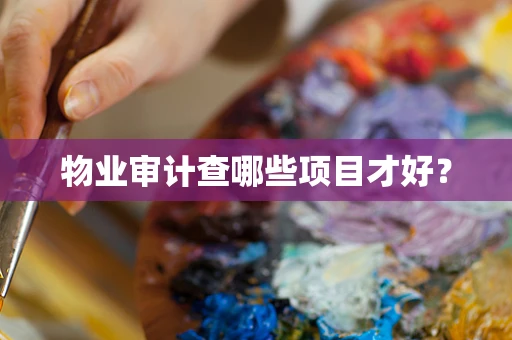 物业审计查哪些项目才好？