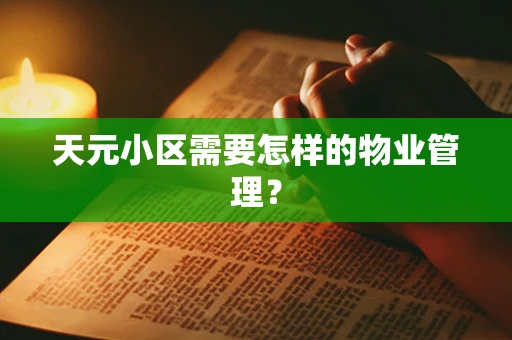 天元小区需要怎样的物业管理？