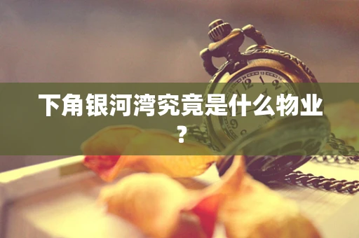 下角银河湾究竟是什么物业？