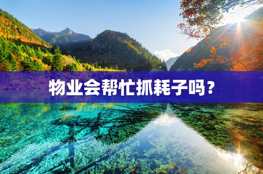 物业会帮忙抓耗子吗？