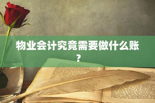 物业会计究竟需要做什么账？