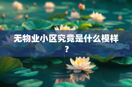 无物业小区究竟是什么模样？