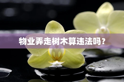 物业弄走树木算违法吗？