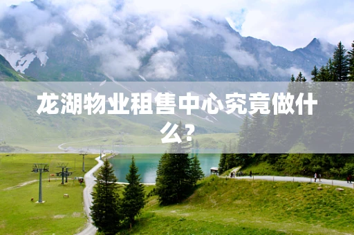 龙湖物业租售中心究竟做什么？