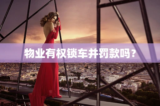 物业有权锁车并罚款吗？