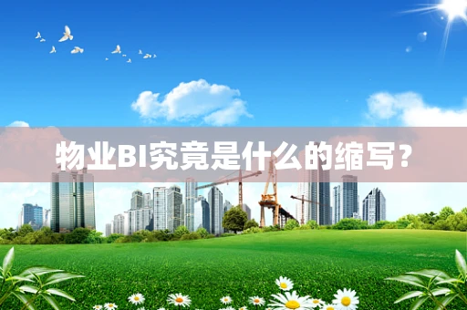 物业BI究竟是什么的缩写？