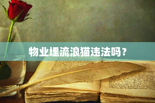 物业埋流浪猫违法吗？