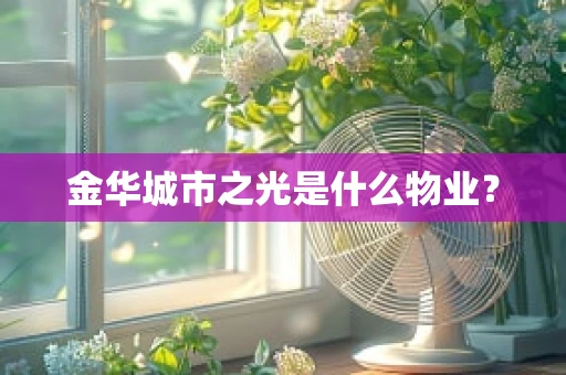 金华城市之光是什么物业？