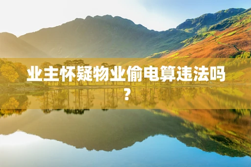 业主怀疑物业偷电算违法吗？