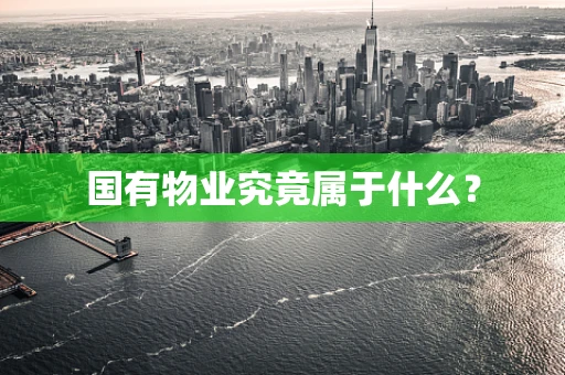 国有物业究竟属于什么？
