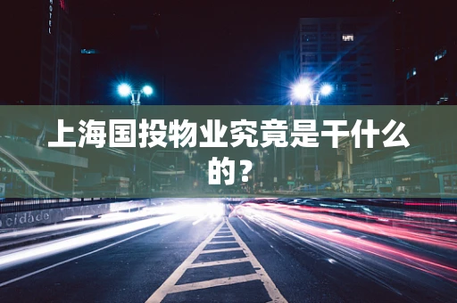 上海国投物业究竟是干什么的？