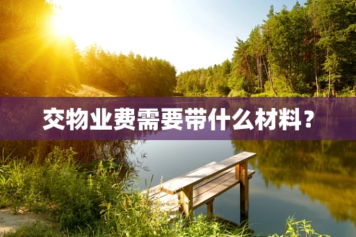 交物业费需要带什么材料？